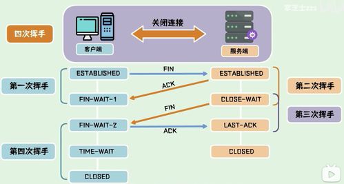 計算機(jī)網(wǎng)絡(luò)知識詳解 從基礎(chǔ)到應(yīng)用