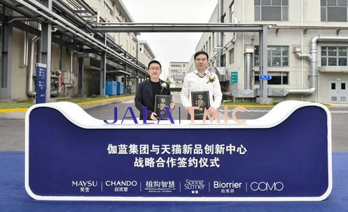 國貨美妝再進階 天貓新品創新中心攜手伽藍集團，以“創新工廠”重塑數字文創新生態